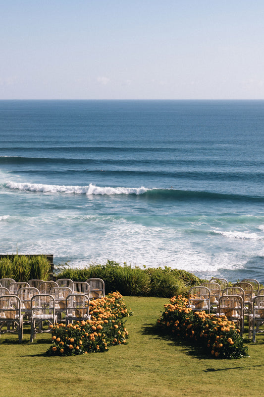 Chair Byron Whitewash